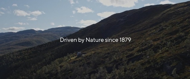 Dale of Norway Rosendal Feminine Sweater