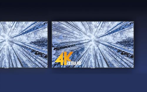 110 Inches Ultra HD Television, TS110TD Ultra Large Screen TV 3840x2160 Pixel, Experience Various Kinds of Content with Ultra HD Picture Quality