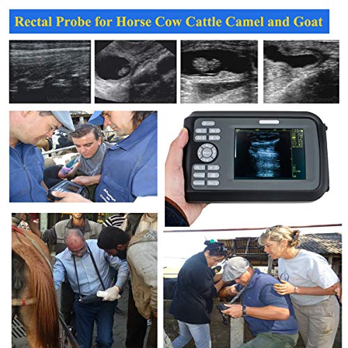 Digital Palm Smart Scanner with Rectal Probe for Veterinary US Shipment 2-5 Days Delivery