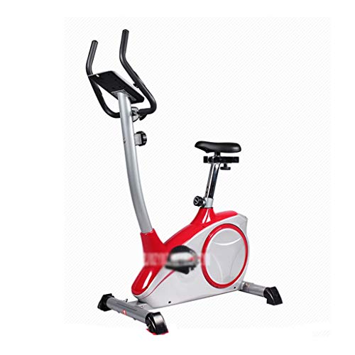 JAHH Bike Indoor Cycling Bike Adjustable Bike Home Gym Workout Fitness Machine With Monitor Maximum Load 100kg (Color : white-Dinosaur Doodle4)