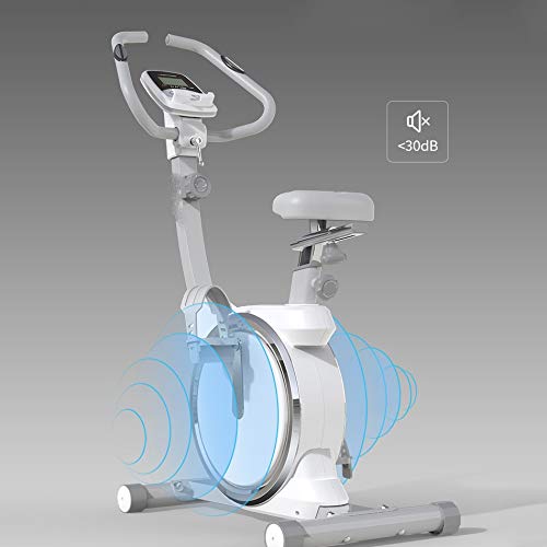JAHH Silver Spinning Bike Stationary Spin Bike with Resistance Exercise Bikes Indoor Cycling Bike