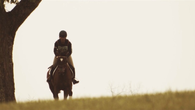 ARIAT Men s Catalyst Vx Waterproof Square Composite Toe Work Boot