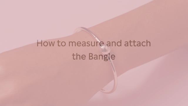 PANDORA Jewelry Moments Bangle Charm 14K Bracelet, 7.5