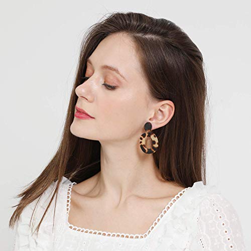 Earrings Set for Women Girls, Funtopia 61 Pairs Fashion Tassel Earrings Acrylic Hoop Stud Drop Dangle Earrings for Birthday Party Gift, Assorted Styles and Colors